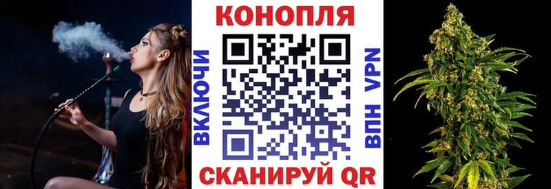 где купить наркоту  Сурск  МЕГА ССЫЛКА  МАРИХУАНА гибрид 